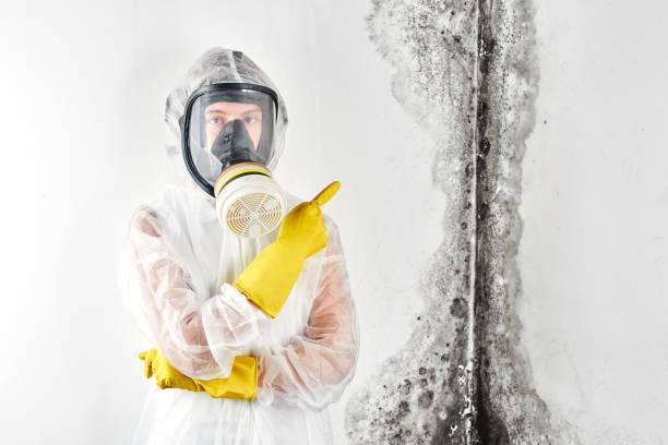 Mold Remediation for Vacation Homes in Luverne, AL